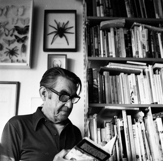 Documentary on Swedish SVT2 2016