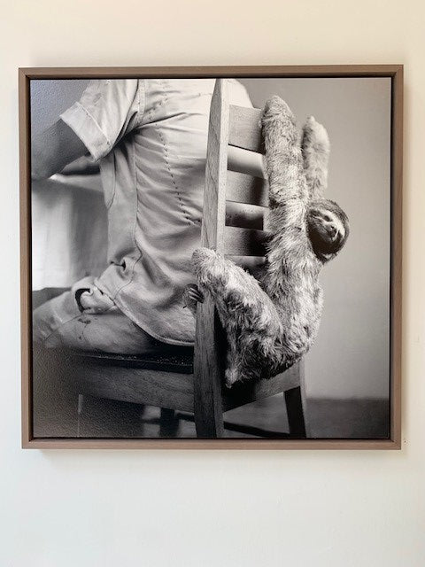 Sloth bear, 1960