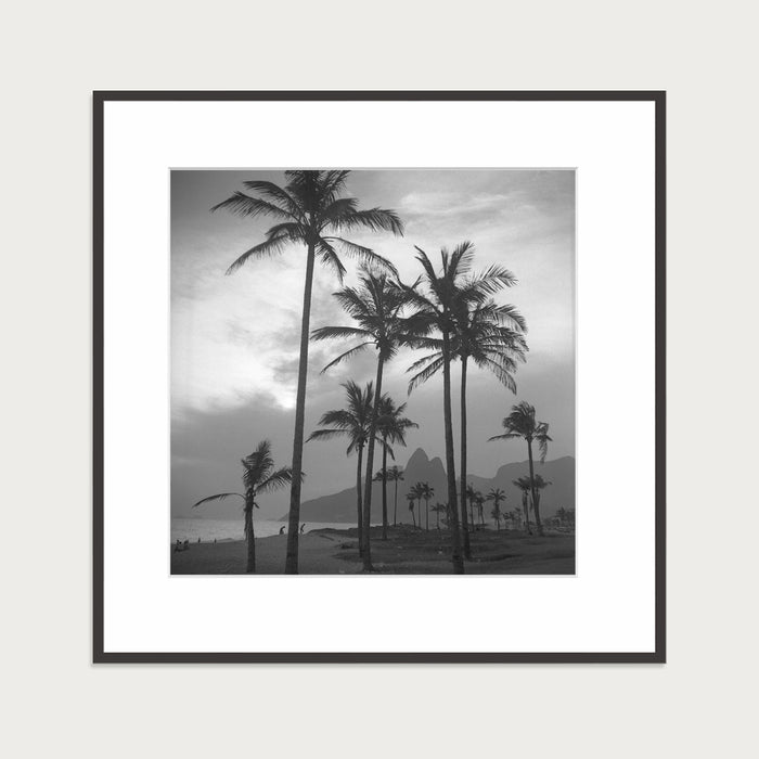 Palms by the sea, 1957
