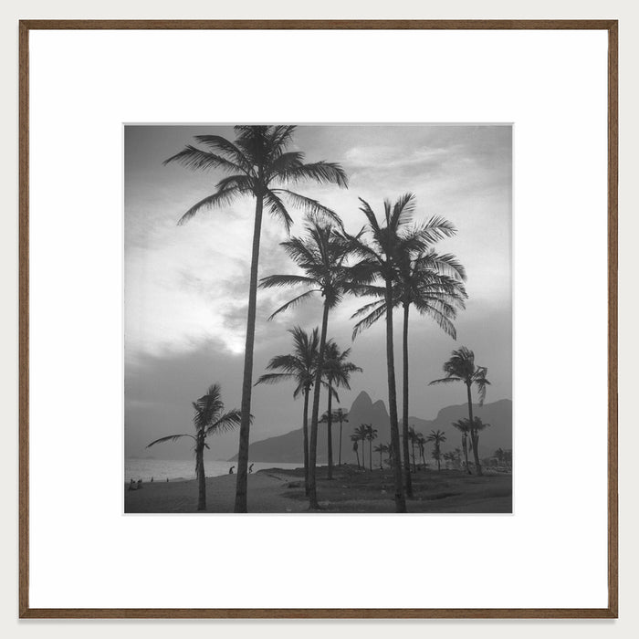 Palms by the sea, 1957