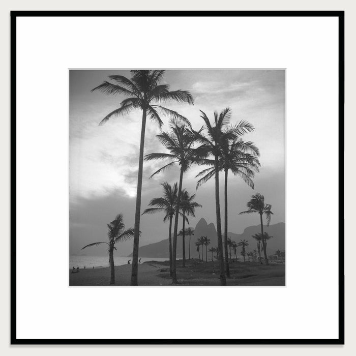 Palms by the sea, 1957