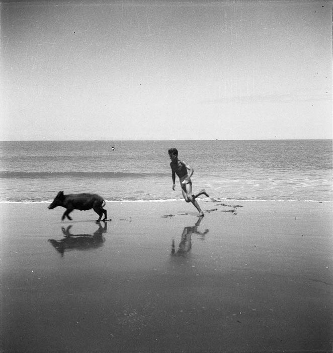 Boy on beach, 1962.