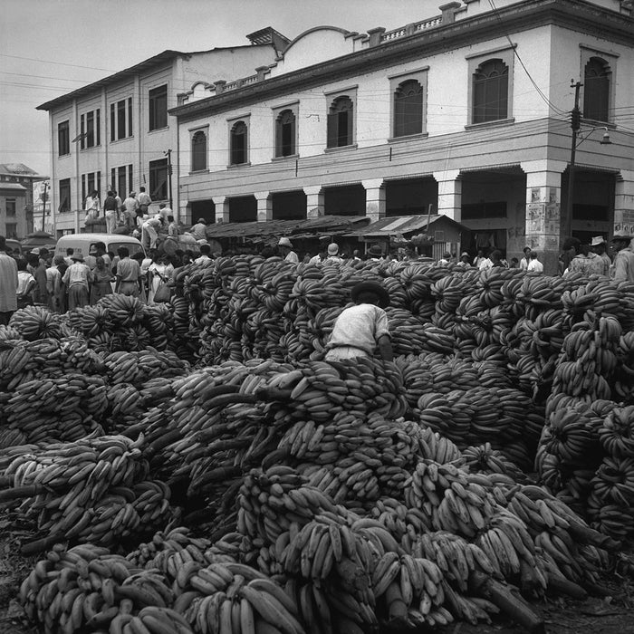 Market, Guayaquil, 1948