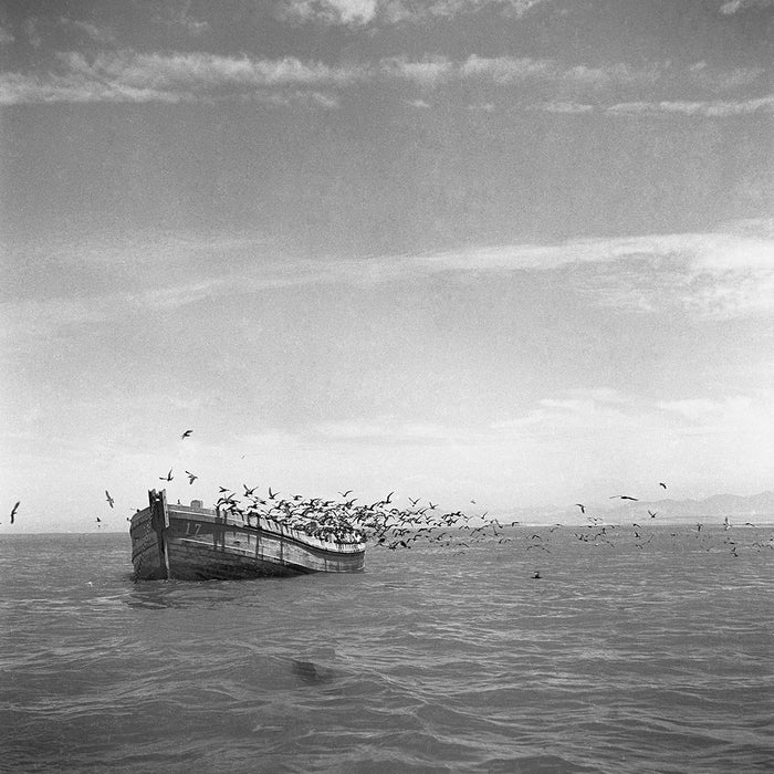 Don Martin Island, 1950