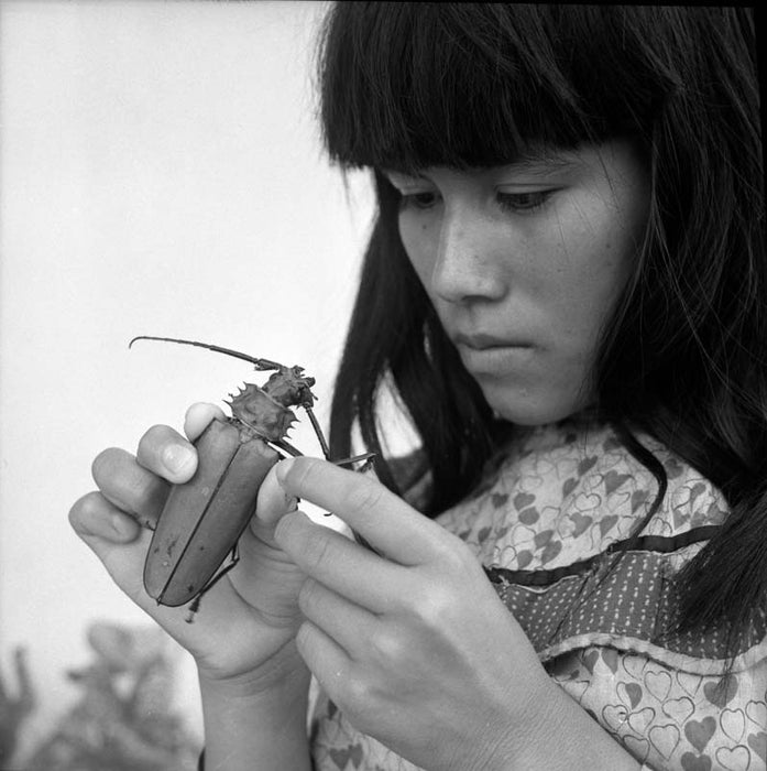 Shipibo woman with beetle, 1960.