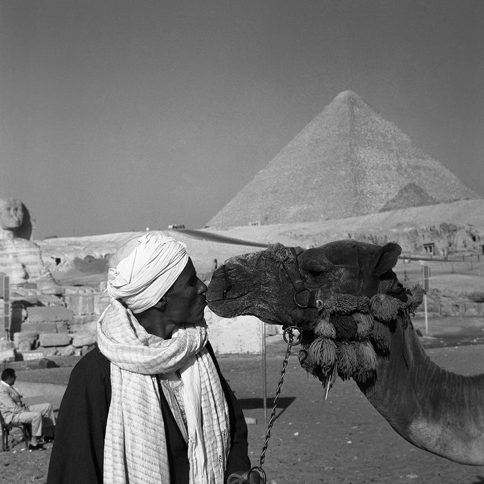 Camel’s kiss, 1965